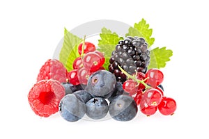 Healthy fresh food berries group. Macro shot of fresh raspberries, blueberries, blackberries, red currant and blackberry with leav