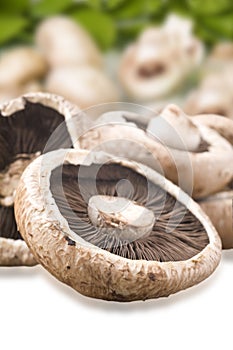 Healthy fresh mushroom with very shallow depth of field