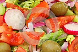 Healthy Fresh Salad background