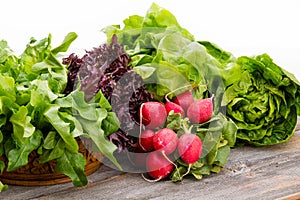 Healthy fresh salad ingredients
