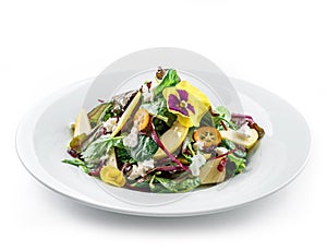 Healthy fresh salad with mix greens, apple, cream cheese, cranberry, sauce and edible flowers in plate on isolated white