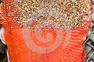 Healthy fresh salmon fillet with spices