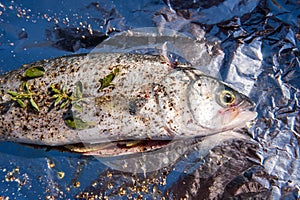 Healthy Fresh Salt Water Fish