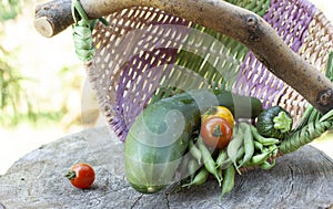 Healthy fresh vegetables ingredients in knitted basket