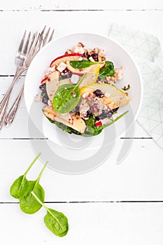 Healthy fruit and berry salad with fresh apples, cranberries, walnuts, italian ricotta cheese and spinach leaves. Delicious and nu