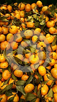 Healthy fruits, mandarin fruits background. Orange fruit background. Mandarin fruits at market store