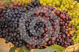 Healthy fruits Red wine grapes background/ dark grapes/ blue grapes/wine grapes  in a supermarket local market bunch of grapes