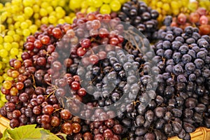 Healthy fruits Red wine grapes background dark grapes blue grapes wine grapes in a supermarket local market bunch of grapes