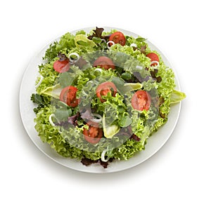 Healthy garden salad