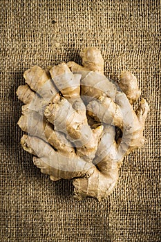 Healthy ginger root.