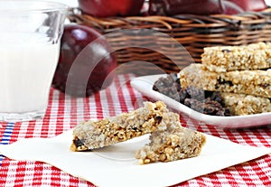 Healthy Granola Bar and Fruit Snacks