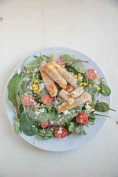 Healthy Greek salad with home made sigara boregi