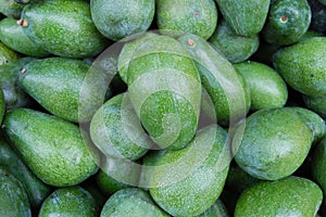 healthy green avocados