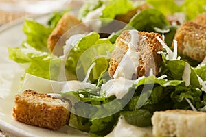 Healthy Green Organic Caesar Salad