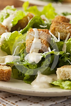 Healthy Green Organic Caesar Salad