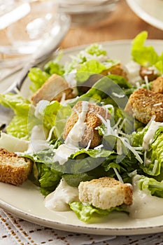 Healthy Green Organic Caesar Salad