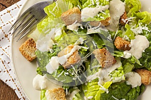 Healthy Green Organic Caesar Salad