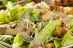 Healthy Grilled Chicken Caesar Salad