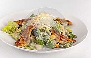 Healthy Grilled Chicken Caesar Salad with Cheese and Croutons