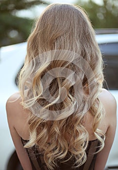 Healthy hair. Curly long hairstyle. Back view of Blond hairs. ha