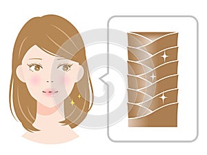 healthy hair cuticles and beautiful woman illustration. healthy hair sheen is keeping hair cuticles closed and smooth. hair care