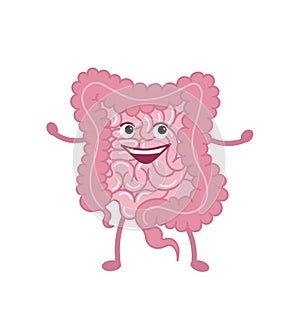 Healthy happy intestine character.Digestive system,intestine vector symbol. Viscera, inside organs vector.Vector flat cartoon illu photo