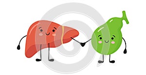 Healthy happy smiling liver and gallbladder characters hold hands. Symbol of liver and gallbladder health. Vector