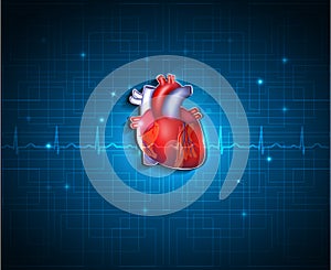 Healthy heart on a blue technology background