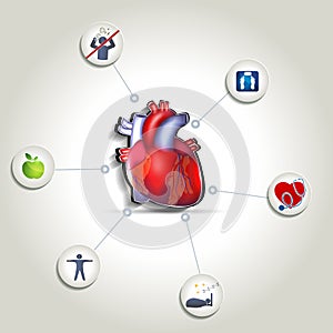 Healthy heart care tips