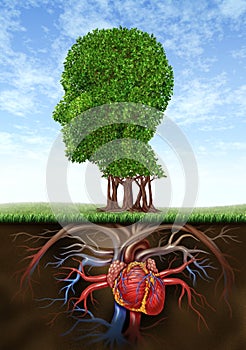 Healthy Heart And Mind