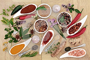 Healthy Herb and Spice Collection