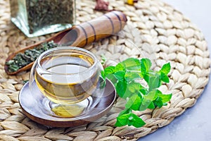 Healthy herbal mint tea in oriental glass cup with fresh peppermint and tea scoop on background, copy space