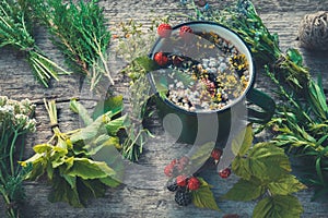 Healthy herbal tea in enameled mug and bunches of healing herbs.