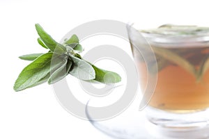 Healthy herbal tea with fresh sage, white background