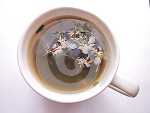 Healthy herbal tea with medical herbs.