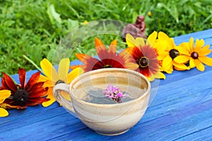 Healthy herbal tea with medical herbs.