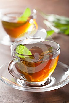 Healthy herbal tea with sage leaf