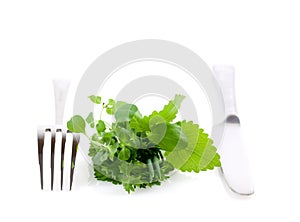 Healthy herbs and cutlery