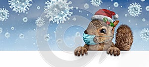 Healthy Holiday Squirrel