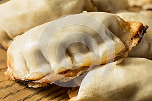 Healthy Homemade Asian Potstickers