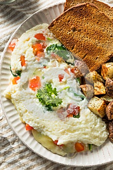 Healthy Homemade Eggwhite vegetarian Omlette