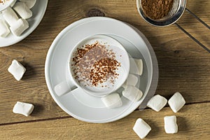 Healthy Homemade Milk Babyccino