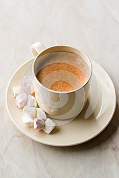 Healthy Homemade Milk Babyccino with Marshmallows and Cocoa / Cinnamon Powder