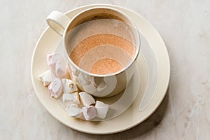 Healthy Homemade Milk Babyccino with Marshmallows and Cocoa / Cinnamon Powder