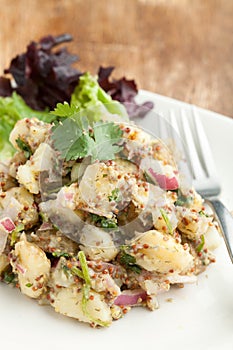 Healthy Homemade Potato Salad