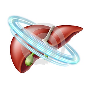 Healthy human liver in blue protective circle. Healthcare concept.