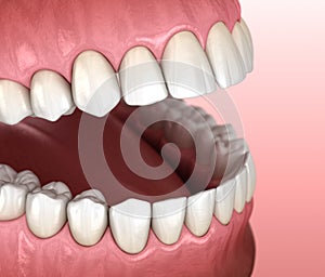 Healthy human teeth with normal occlusion, macro view. Medically accurate tooth 3D illustration