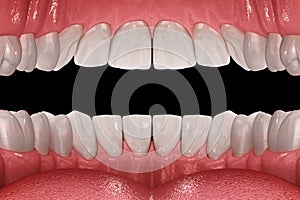Healthy human teeth with normal occlusion, view form inside. Medically accurate tooth 3D illustration