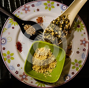 Healthy indian dhokala with garnishing