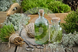 Healthy infusion or potion bottles, wooden boxes of healthy common haircap moss and lichen, moss on table. Herbal medicine photo